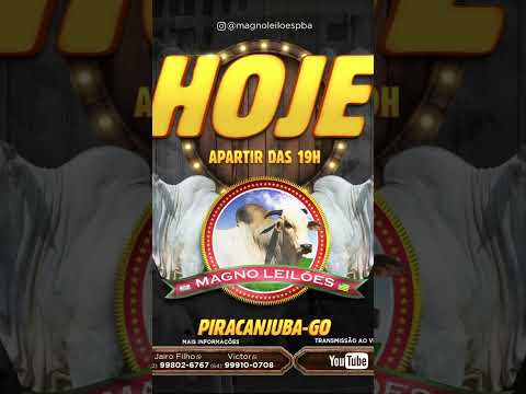 LEILÃO HOJE AQUI EM PIRACANJUBA-GO NO MAGNO LEILÕES !!!!