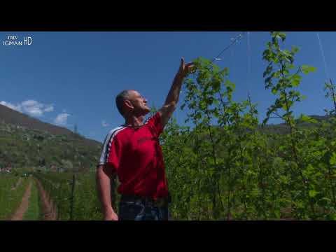 EMISIJA "MLAĐAK" - NIJAZ MAŠETIĆ - VOLJEVAC - GORNJI VAKUF - RAMAZANSKI PROGRAM