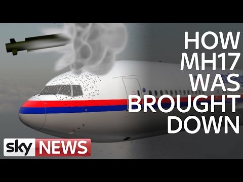 MH17 Air Crash Investigation: What Caused Disaster?