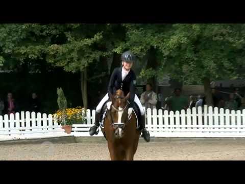 Bundeschampion 2014 - Sechsjährige Dressurponys: Der kleine König von Dornik's Donovan