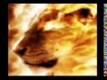 KNOW YOUR ENEMY THE HIVITES PART 2