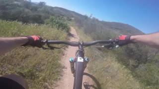 Enjoying the narrow high-speed goods on SideWinter Trail.