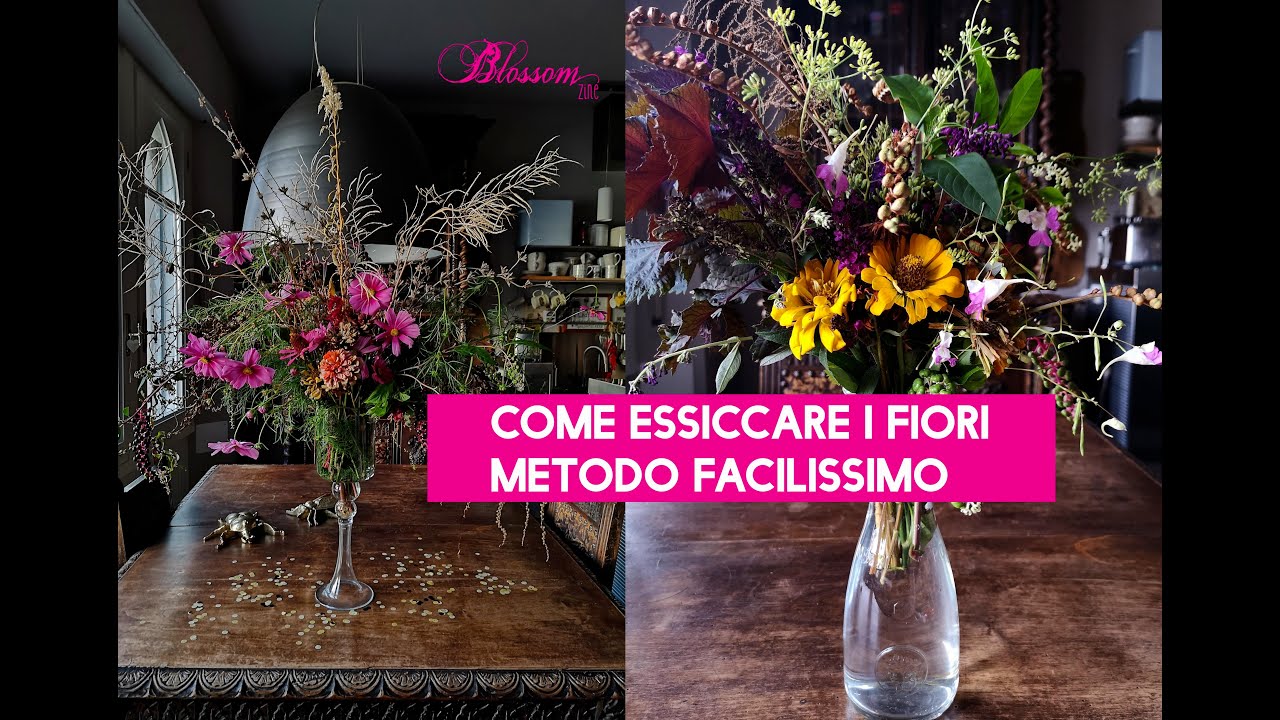 Watch Now Come essiccare i fiori, il mio metodo facilissimo. Come essiccare i fiori, il mio metodo facilissimo.