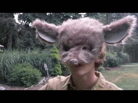City Deer video