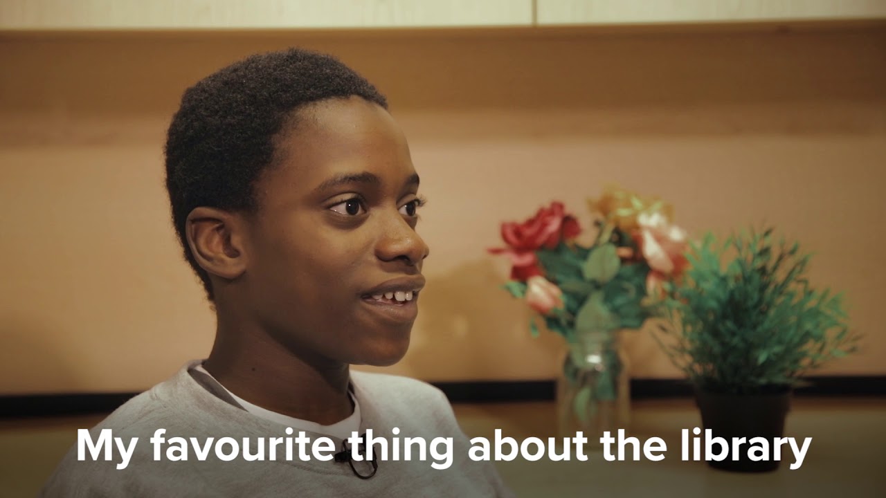 Help Build a Revitalized Library