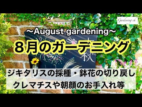 旧暦: 2022 年 8 月の月を使ってガーデニングをするには?  庭園