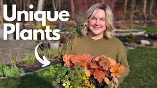 Come Plant Shopping with Me! Rare Finds + Nursery Tour & Haul