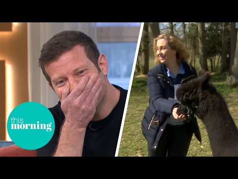Josie Gibson Goes on an Alpaca Walk | This Morning