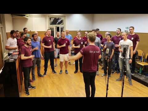 PAZ VV - Vinska (PP)