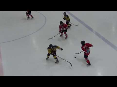 HC Panter 06/07 - Besancon Doubs HC FRA  13-0 (8-0, 5-0)  02.04.2017