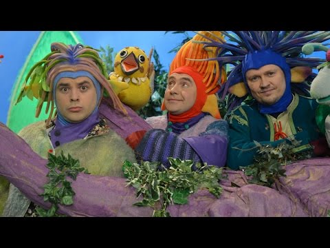 Domisie - Zabawa w pustynię