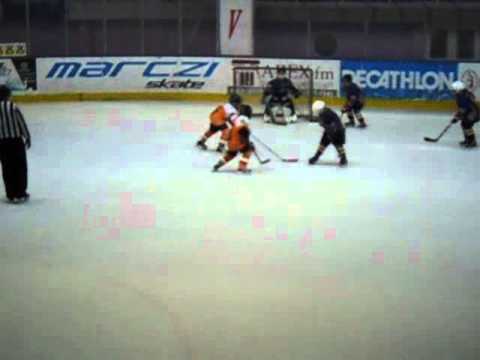 Farkasok Debrecen 2011dec10 Mini