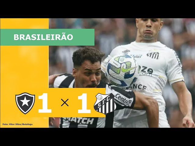 Santos arrranca empate com Botafogo, que chega a 8 jogos sem vencer