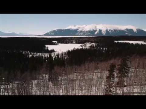 THIEVES - Never Meant To Know (Official Music Video)