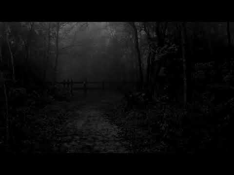 Ylo africký slon - YLO africký slon - In The Rain