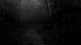 YLO africký slon - In The Rain