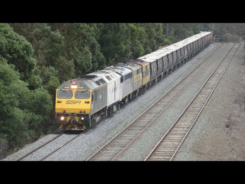 N Classes, RL Class & 4 Streamliners on a SSR Grain & more on the North East Line!