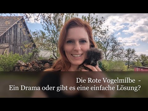 #Ursteirerhof - Die Rote Vogelmilbe - Ein Drama oder gibt es eine einfache Lösung?