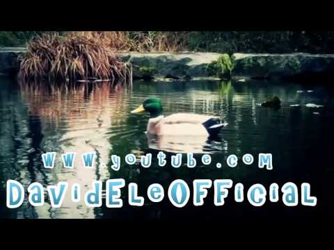 LUTVI -  NAE TE SIKAVAV ME DUKA 2013