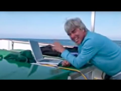 BBC Studios: High Speed Hunter (Mako)