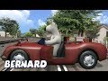 Bernard Bear The Car And The Train AND MORE Cartoons For Children