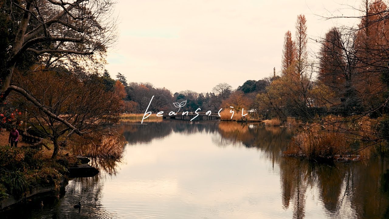 【冬の風景】井の頭公園