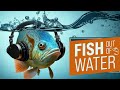 Lindsey Buckingham - The Right Place To Fade Reaction (FOOW) - Fish Out Of Water Series Lindsey Buckingham - The Right Place To Fade Reaction (FOOW)