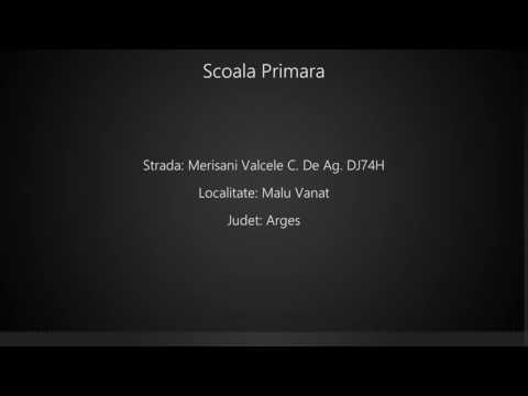 Scoala Primara Malu Vanat