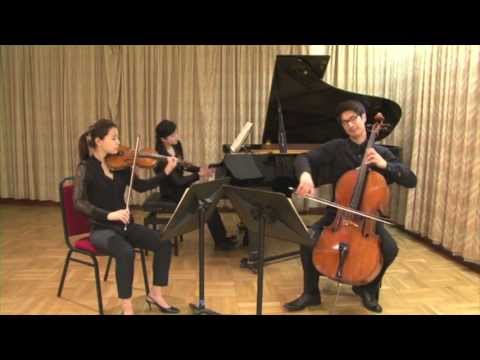 Fournier Trio: J. Brahms Trio No.2 Op.87 - I. Allegro
