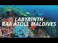 Labyrinth, Raa Atoll Maldives