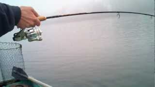 preview picture of video 'Phil Holly Catches a Brown Trout on Lake Gilead in Carmel NY [HD]'