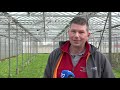 Boeren blijven met oogst zitten na stilvallen export