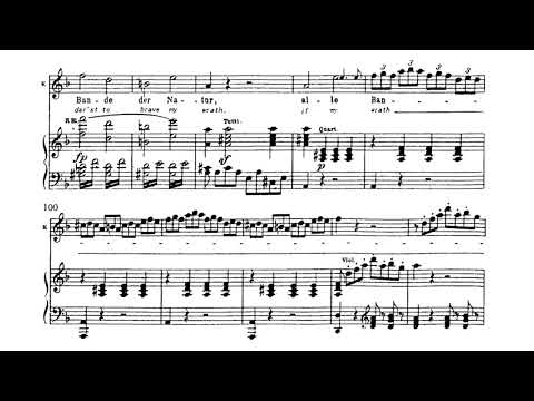 Der Hölle Rache kocht in meinem Herzen (Mozart: Die Zauberflöte) Piano Accompaniment 피아노 반주
