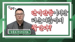 유튜브 썸네일