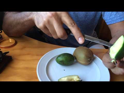 Trying my first Feijoa in New Zealand