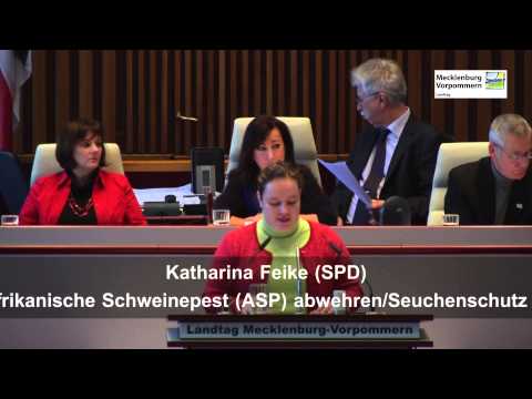 Seuchenschutz stärken - Katharina Feike (SPD)