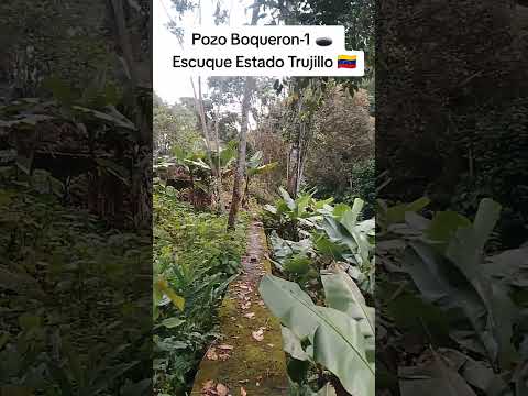 Antiguo Pozo Petrólero Boqueron-1 🕳️🏗️ #shellcompany #venezuela #petroleo #trujillo #escuque