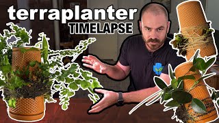 Terraplanter Time-Lapse: 6 Months in 1 Minute