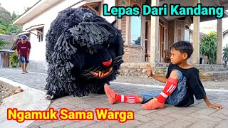 Download lagu CAN MACANAN SINGO RAUNG NGAMUK LEPAS DARI KANDANG || komedi madura mp3 Download lagu CAN MACANAN SINGO RAUNG NGAMUK LEPAS DARI KANDANG || komedi madura mp3
