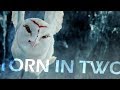 Legend of the Guardians - Torn In Two (mini edit) Legend of the Guardians - Torn In Two (mini edit)