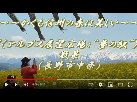 ～～かくも信州の春は美しい～～アルプス展望広場：\夢の駅\　散策（長野市中条）