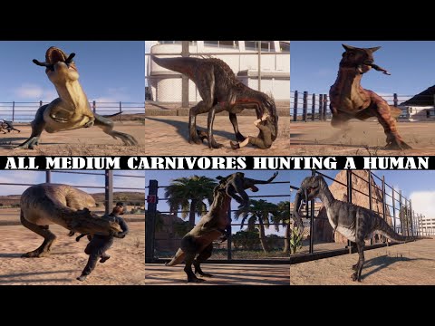 ALL (MEDIUM) CARNIVORES EATING HUMANS | JURASSIC WORLD EVOLUTION 2