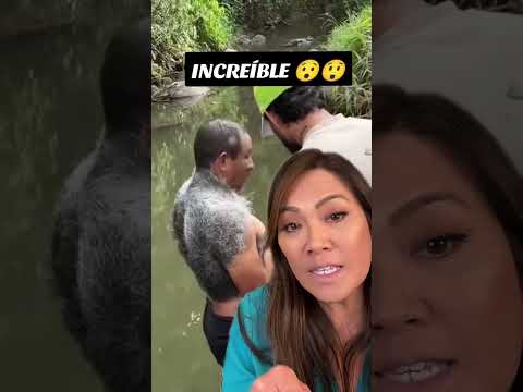 He looks like an incredible super hero! 🥰 Giant congential melanocytic nevus most likely.