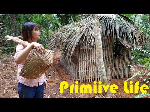 Primitive Technology Make a wild hut with natural plants