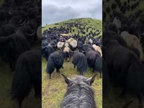 SANTA FE GOBERNADOR CANDIOTI CASO OVNI ES SEGURIDAD NACIONAL EN ARGENTINA