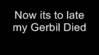 Gerbil - Stephen Lynch (With Lyrics)