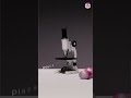 Onion Under A Microscope Experimentshorts Shorts