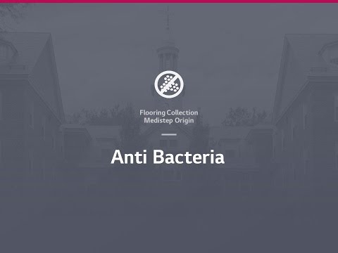 Anti Bacteria