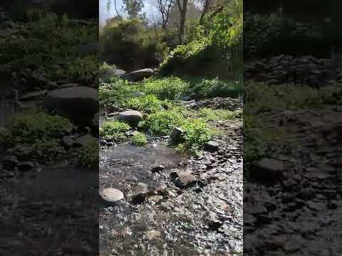 Naturaleza en Monte Bello #nature #argentina #montebello #tucuman