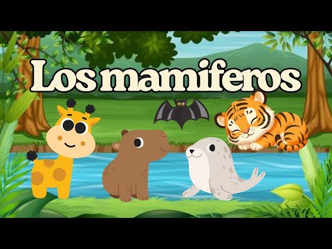 Mammals | Amazing Animals for Kids | Educational Video in SPANISH.🐬🦇